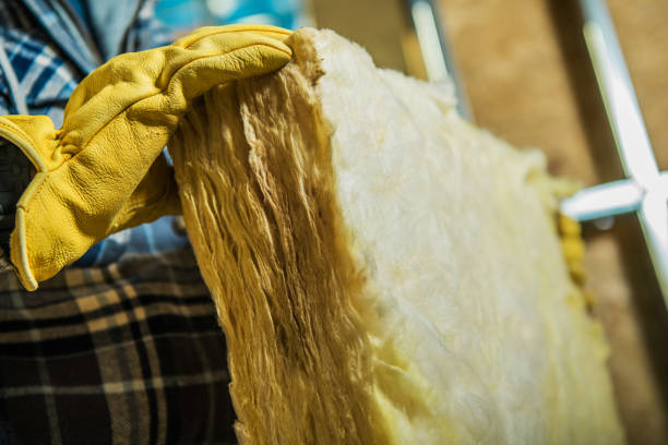 Best Geographic-Specific Insulation Services in Monmouth Junction, NJ