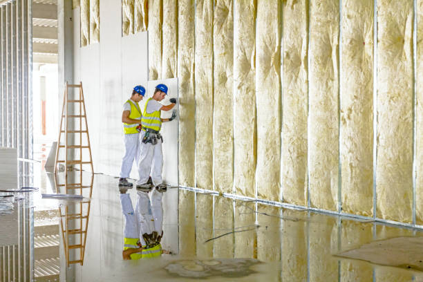 Best Eco-Friendly Insulation in Monmouth Junction, NJ